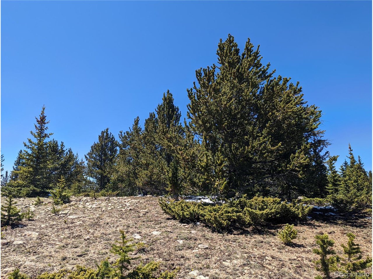 6647 Forbes Road Fort Garland, CO 81133 - Photo 12 of 19 Gallery Image 12