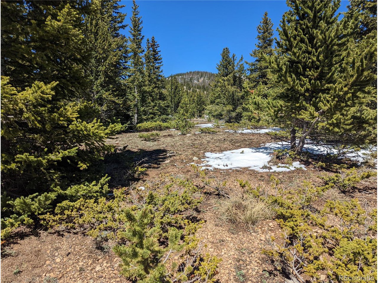 6647 Forbes Road Fort Garland, CO 81133 - Photo 3 of 19 Gallery Image 3