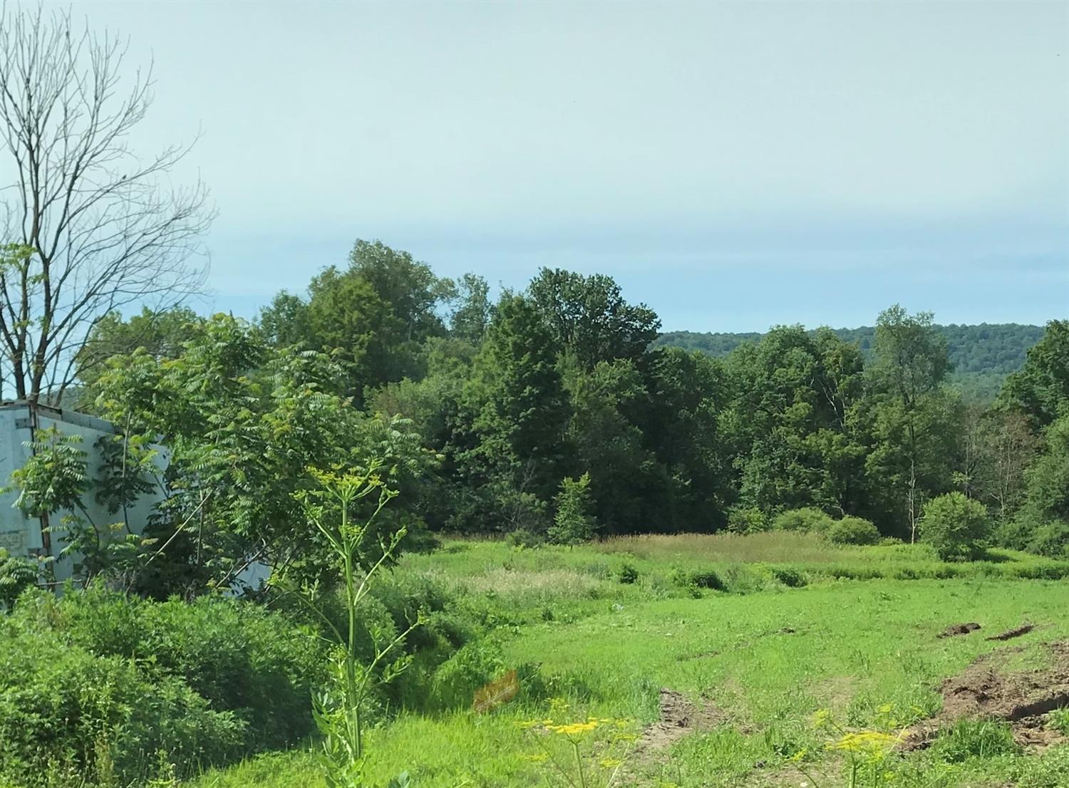 0 Butts Road Bainbridge, NY 13733 - Photo 1 of 1 The white trailer in photo will be removed before
