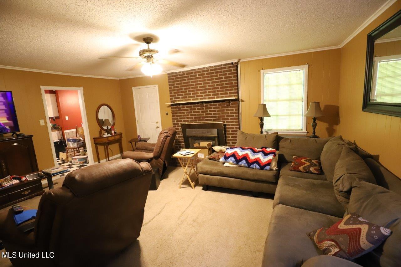2255 Peavine Road Coldwater, MS 38618 - Photo 19 of 44 IMG_9858