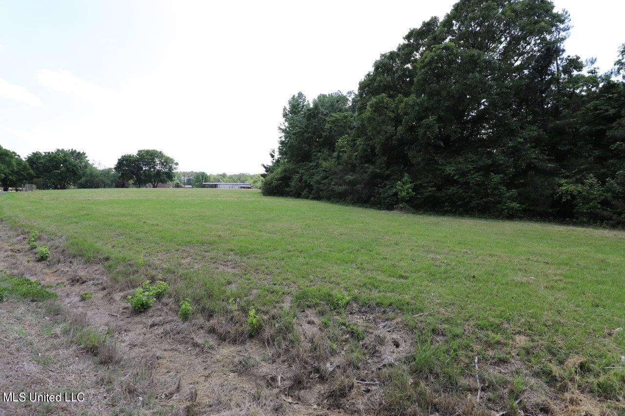 2255 Peavine Road Coldwater, MS 38618 - Photo 36 of 44 IMG_9835
