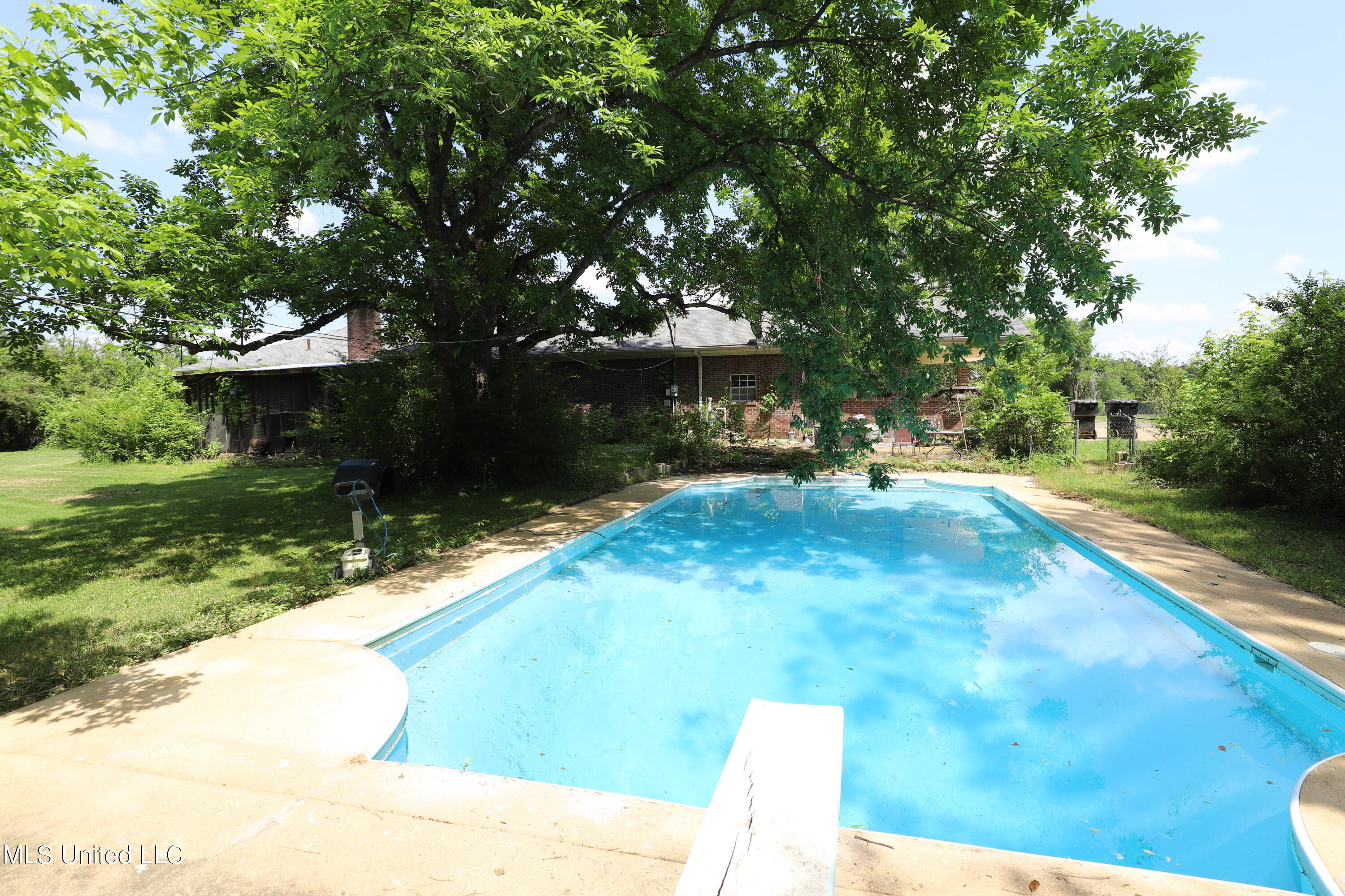 2255 Peavine Road Coldwater, MS 38618 - Photo 6 of 44 IMG_9842