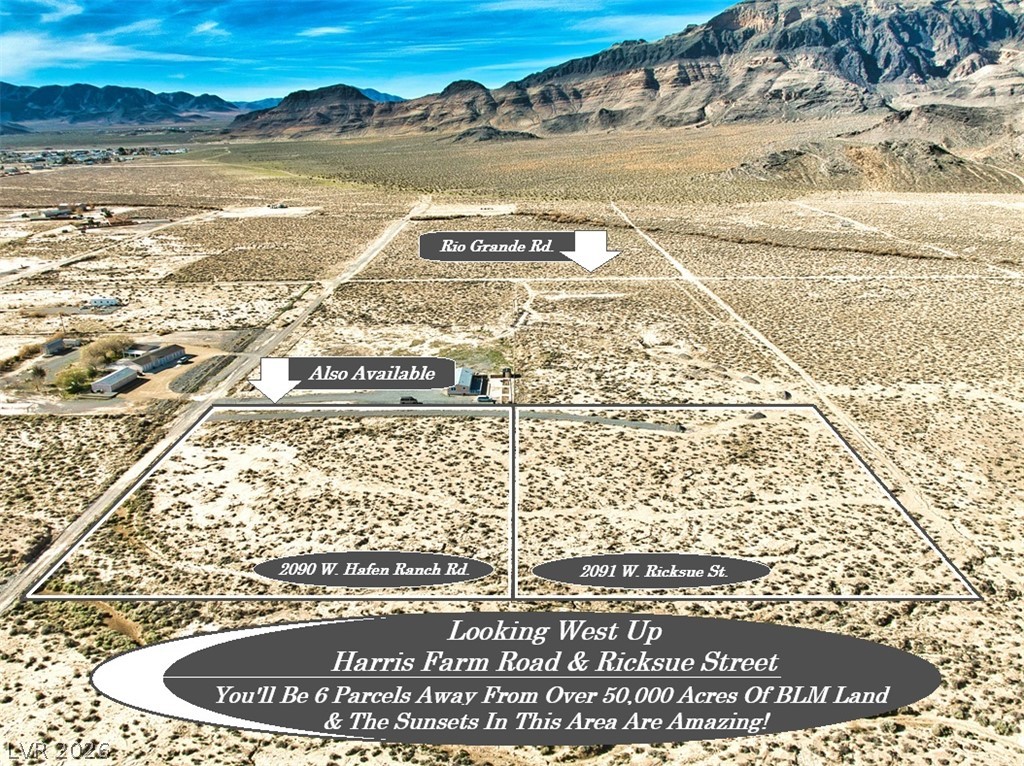 2091 Ricksue Street Pahrump, NV 89060 - Photo 3 of 12