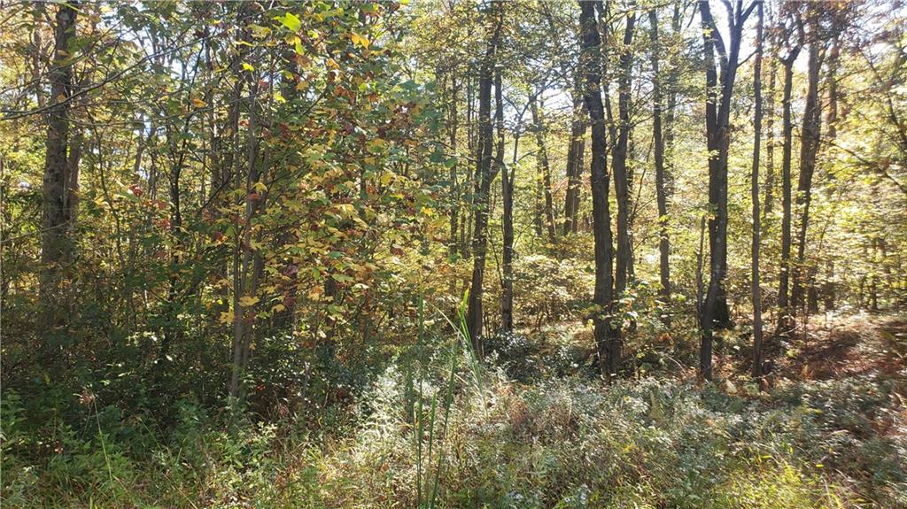 113 Ross Road Ligonier, PA 15658 - Photo 27 of 29 a view of forest