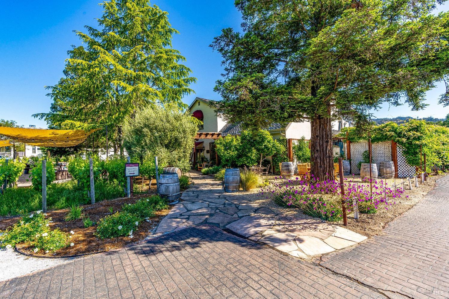 1010 Big Tree Road Calistoga, CA 94515 - Photo 20 of 24