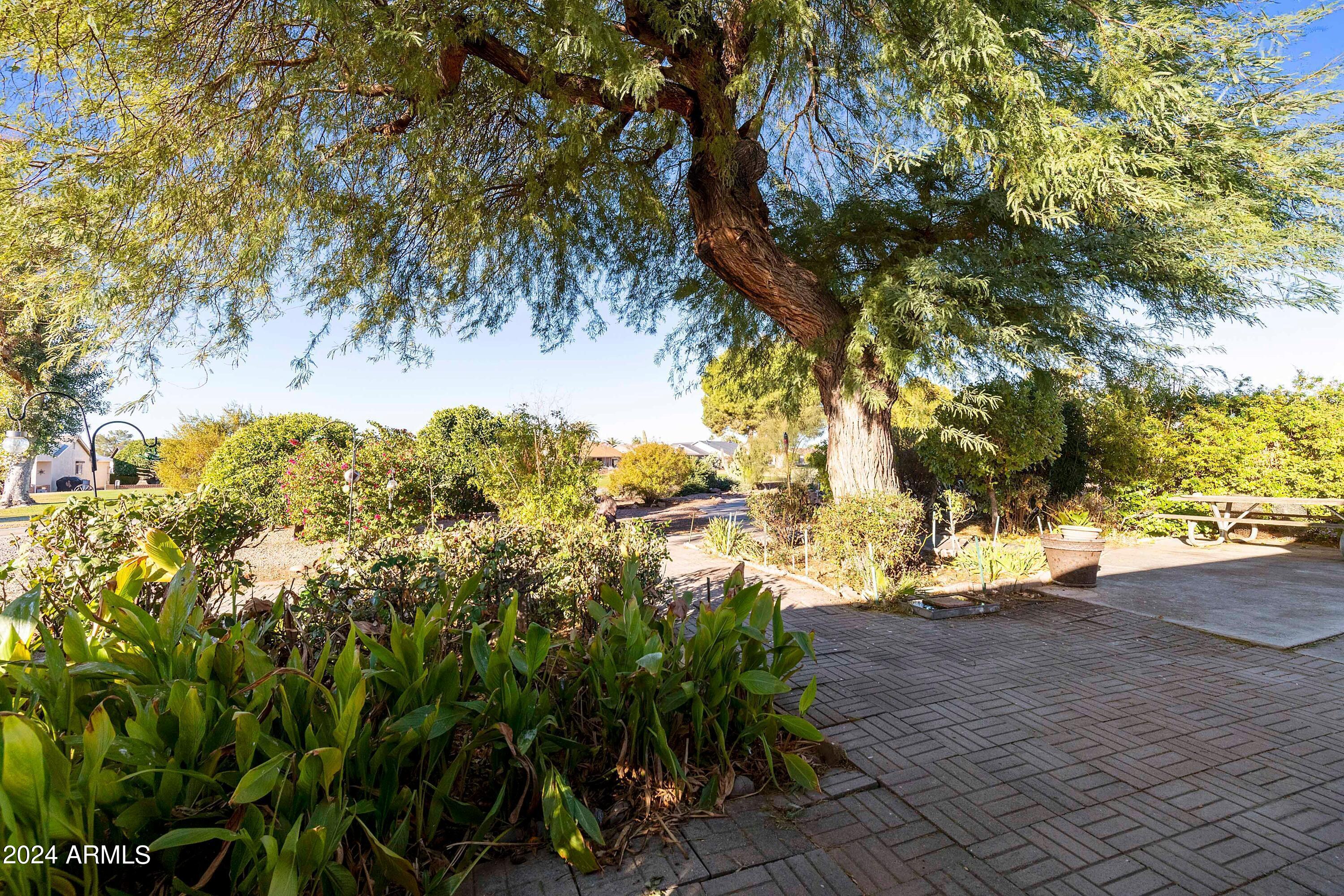 970 South 80th Street Mesa, AZ 85208 - Photo 30 of 45 Backyard View