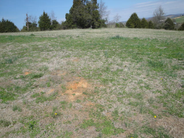 Lot 14 Pocahontas Lane Rutledge, TN 37861 - Photo 3 of 3 Lot 14 (2)