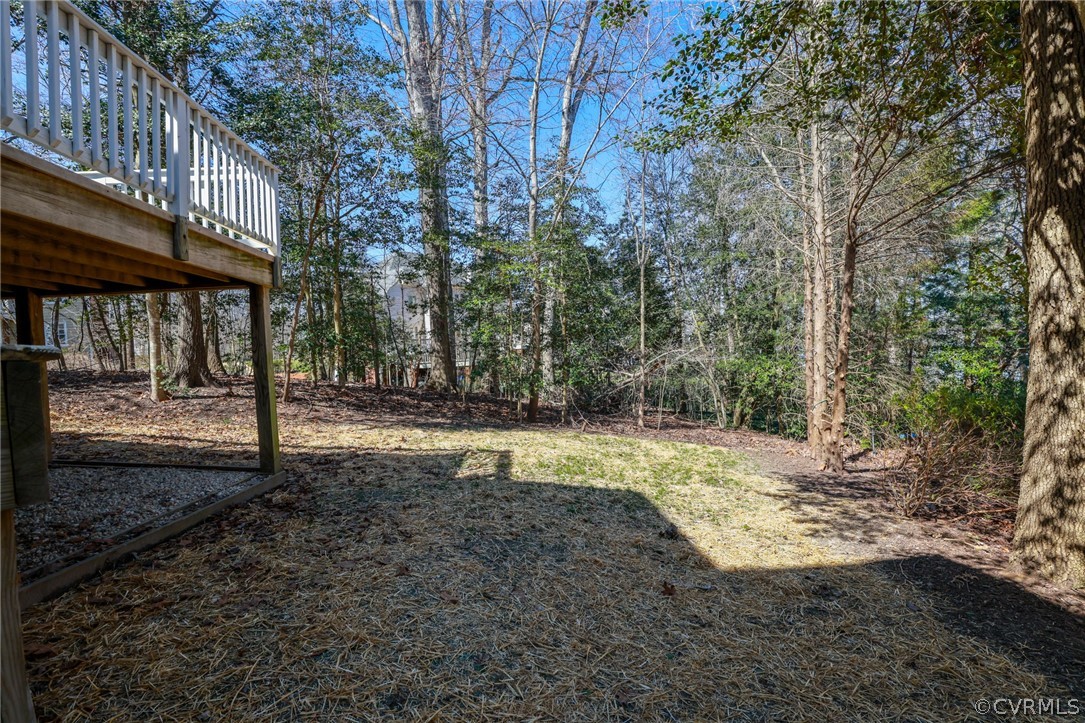 5207 Clipper Cove Road Midlothian, VA 23112 - Photo 50 of 50 Gallery Image 50