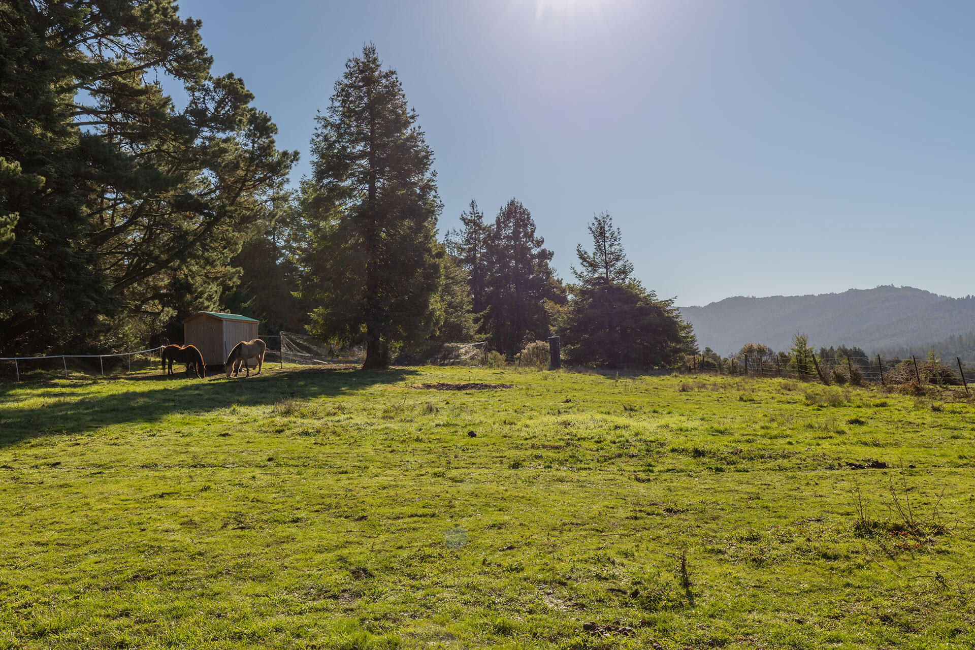 2572 Rio Vista Lane Rio Dell, CA 95562 - Photo 4 of 96 SW__1149