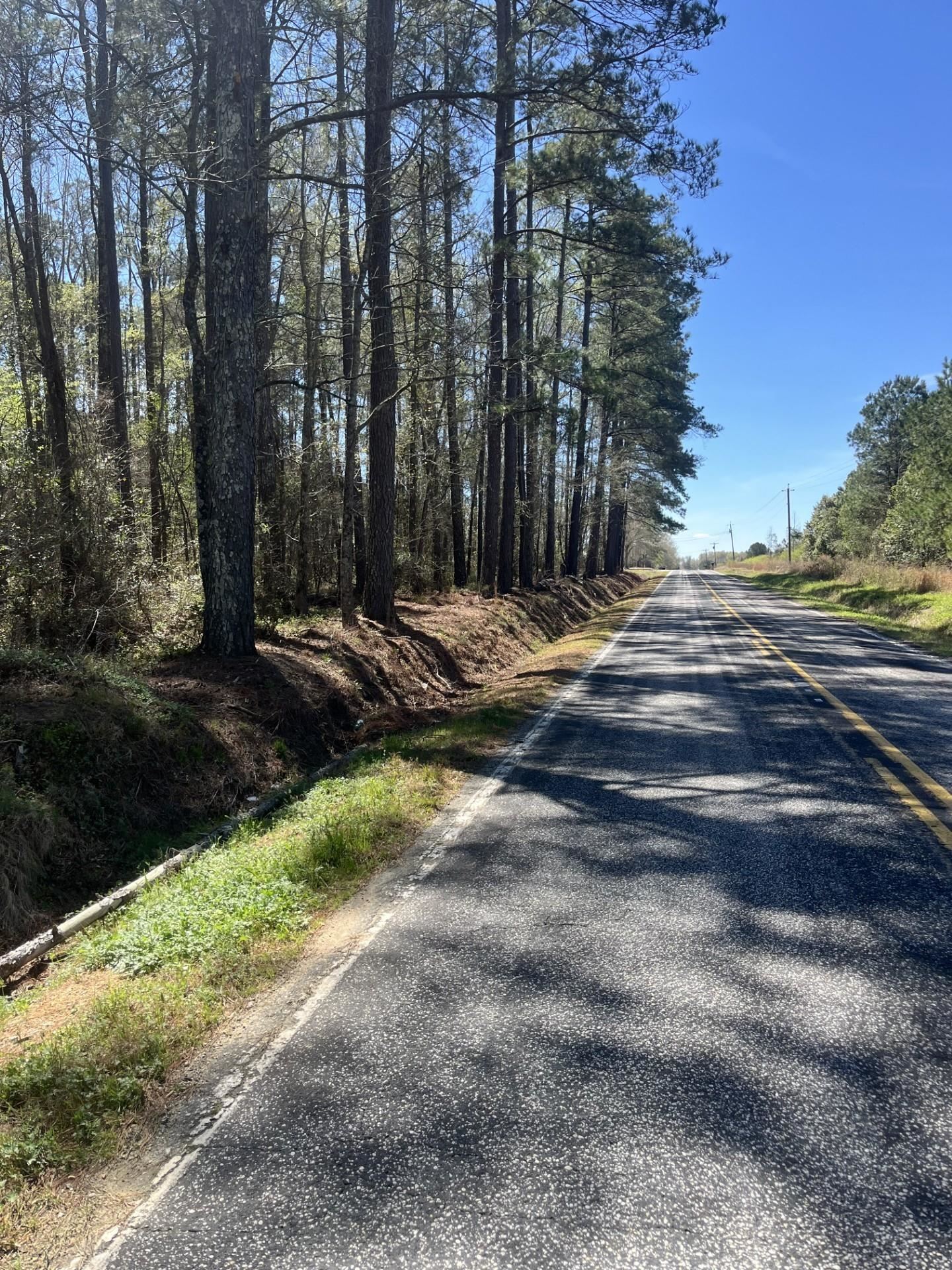 Salem Road Bennettsville, SC 29512 - Photo 2 of 12 Gallery Image 2