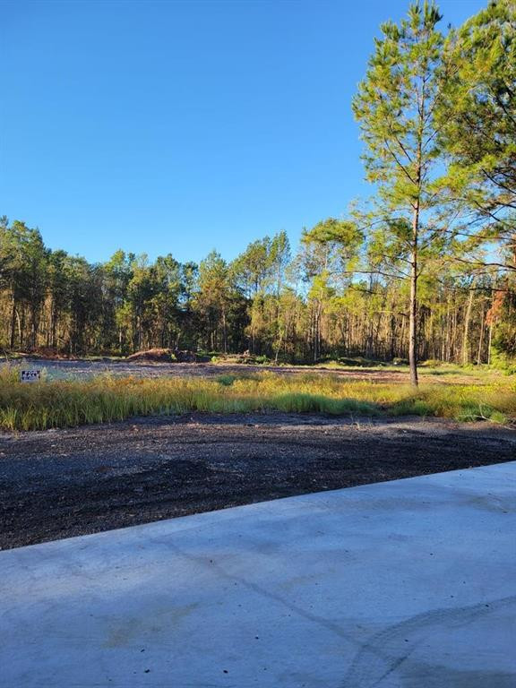 0 Lejune Road Waycross, GA 31501 - Photo 1 of 1