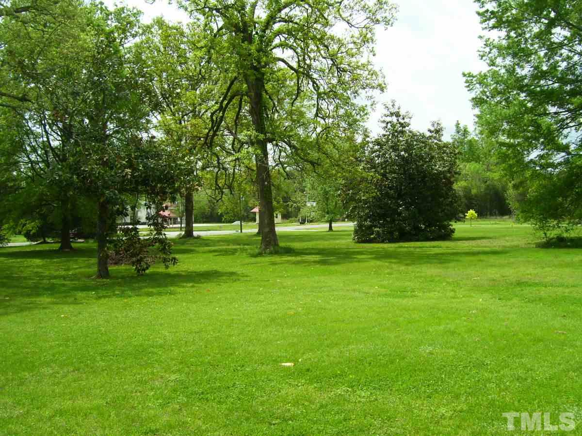 213 Red Mountain Road Rougemont, NC 27572 - Photo 17 of 18 a view of a park with trees and grass