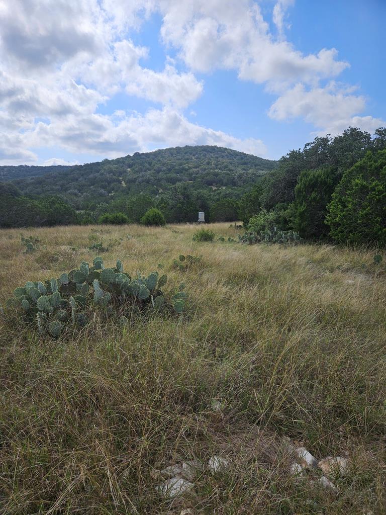 7997 Sd 52100 Rocksprings, TX 78880 - Photo 26 of 71