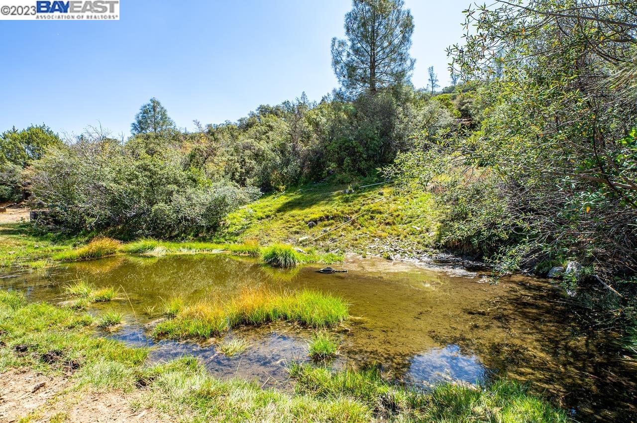 51000 Mines Road Livermore, CA 94550 - Photo 15 of 37