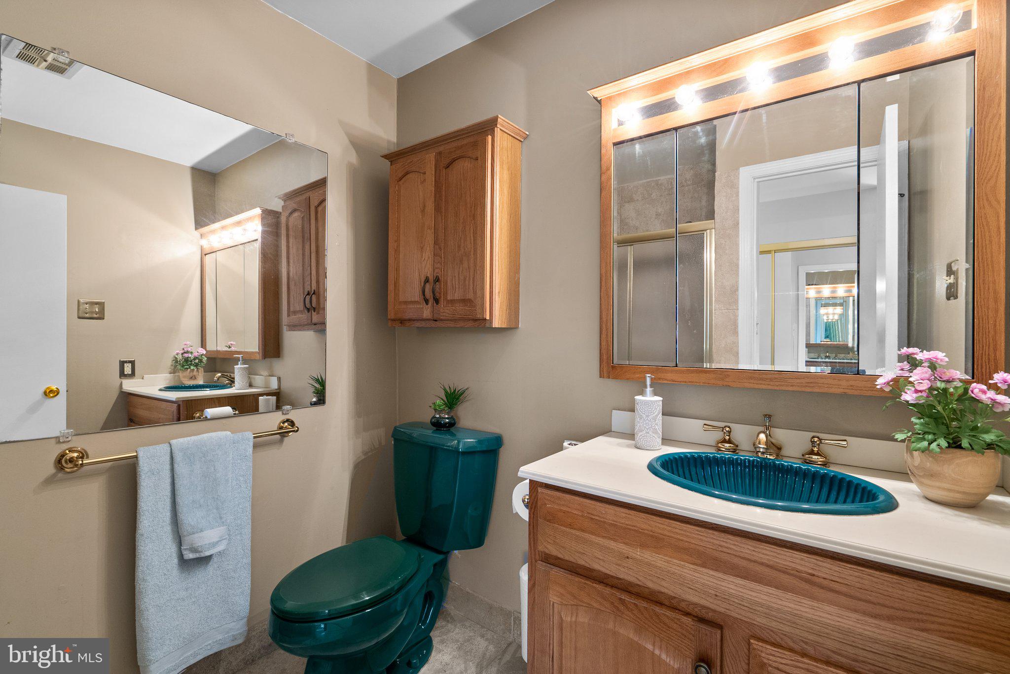 7001 Good Luck Road New Carrollton, MD 20784 - Photo 24 of 41 Upper level Primary full bathroom