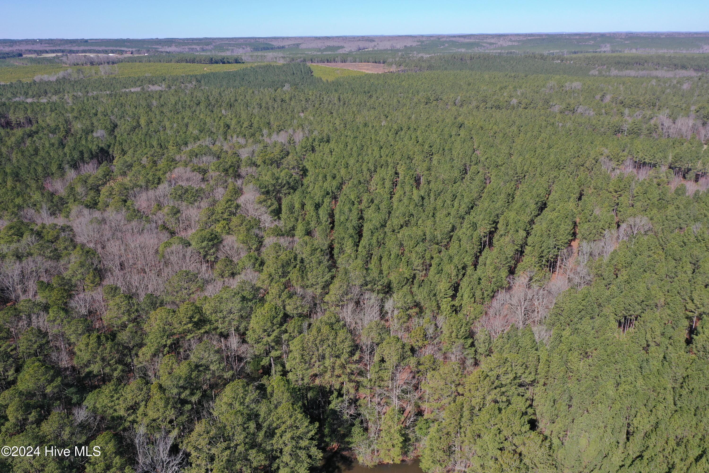 740 Sand Farm Road Carthage, NC 28327 - Photo 32 of 69 DJI_0743
