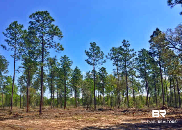 0 South Grand Bay Wilmer Road Wilmer, AL 36587 - Photo 2 of 18