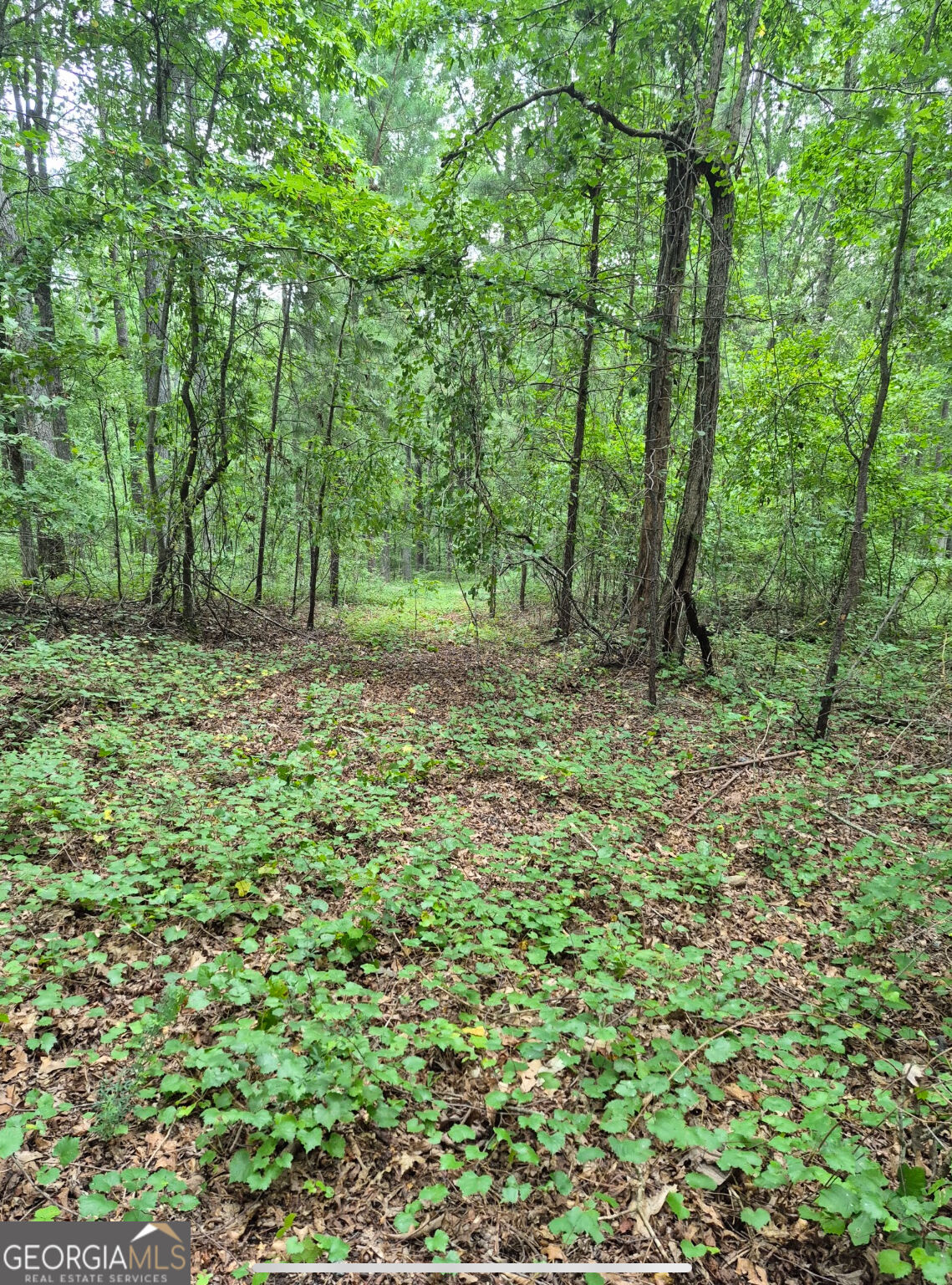 0 Brazell Road Fairburn, GA 30213 - Photo 20 of 27 Gallery Image 20