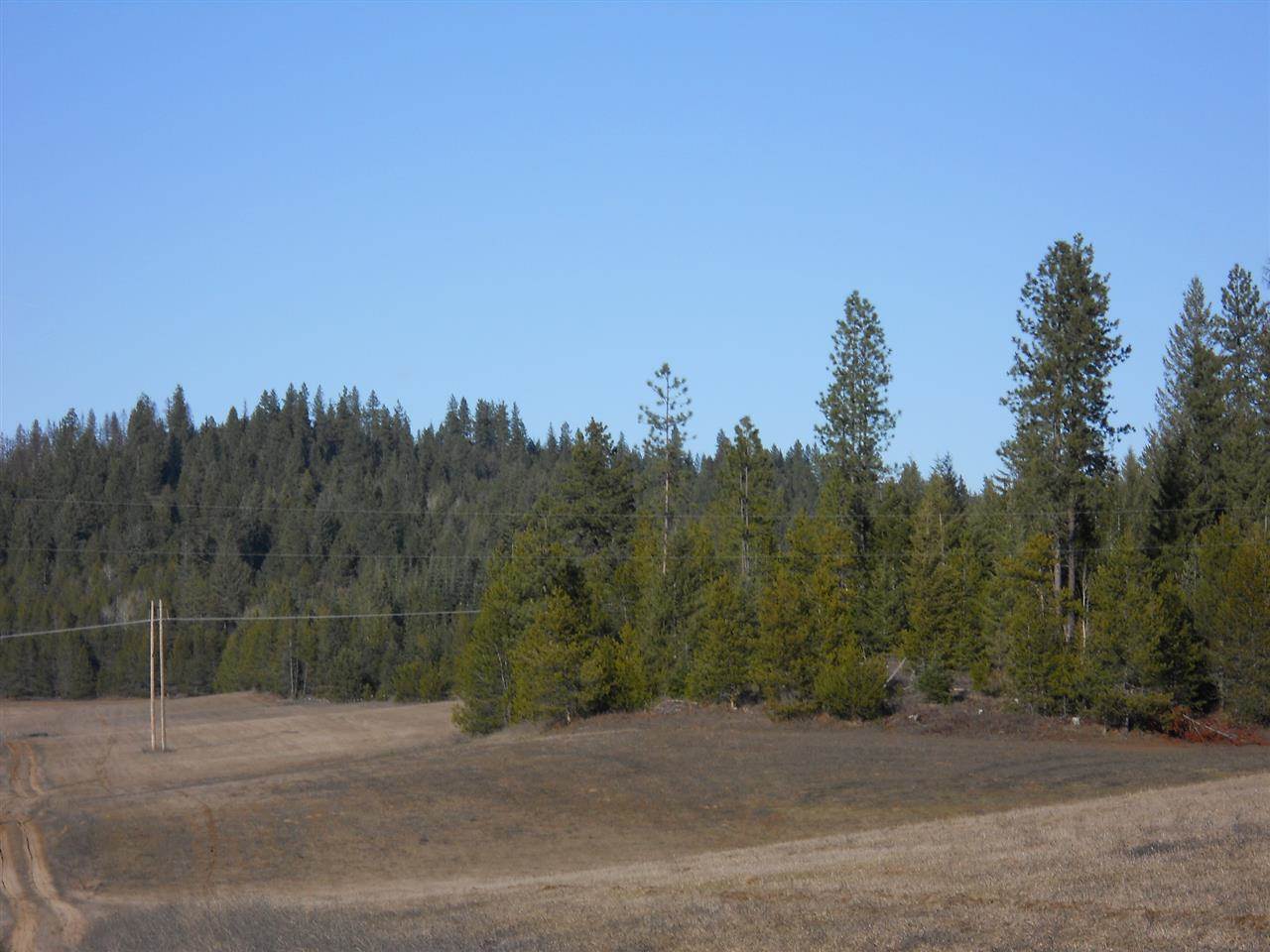 0 Weber Road Newport, WA 99156 - Photo 1 of 3 Gallery Image 1