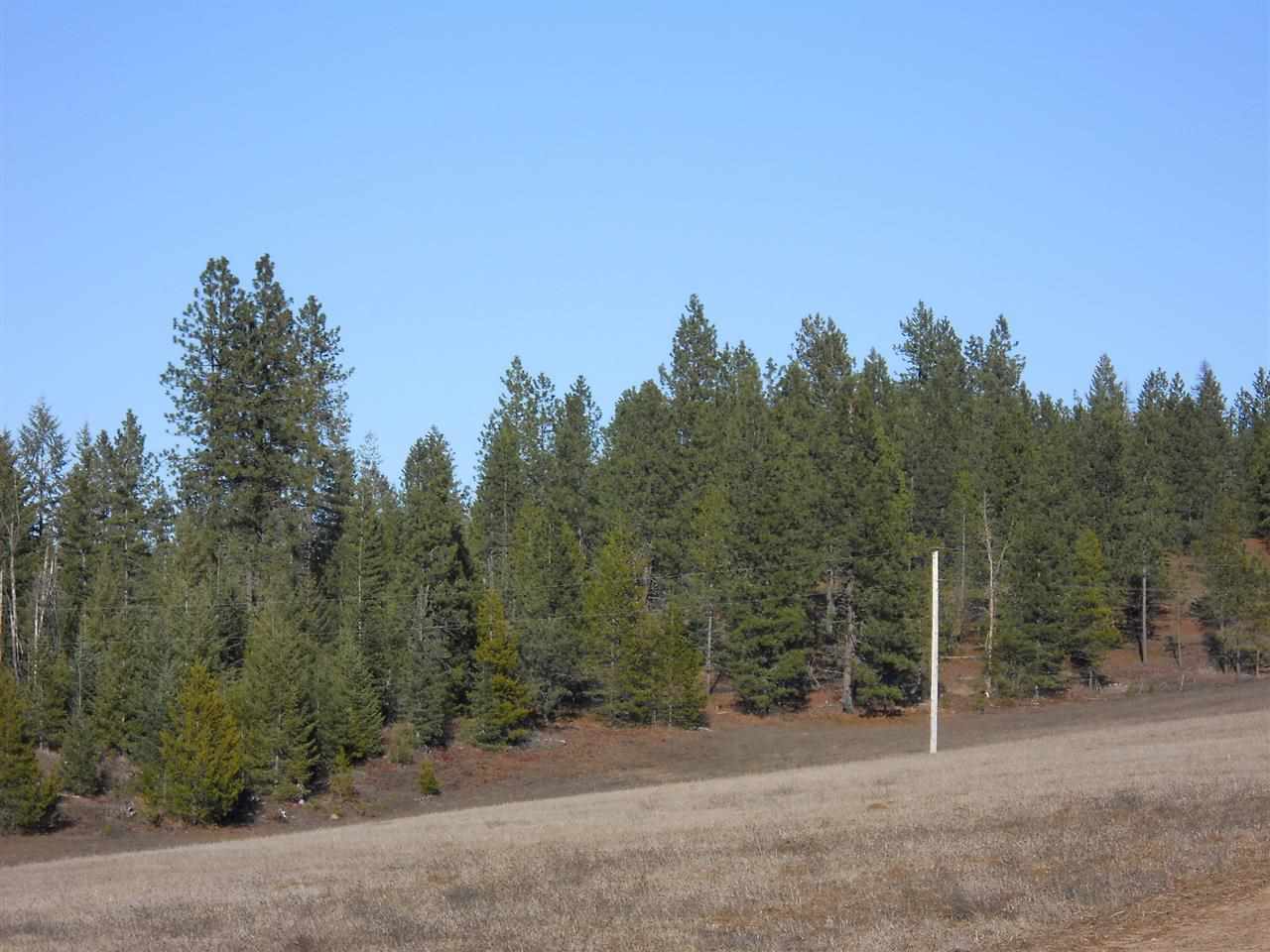 0 Weber Road Newport, WA 99156 - Photo 2 of 3 Gallery Image 2