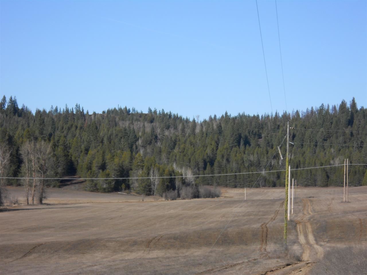 0 Weber Road Newport, WA 99156 - Photo 3 of 3 Gallery Image 3