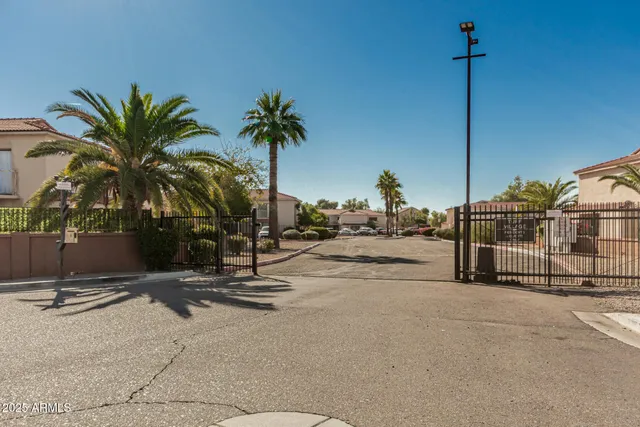 a row of palm trees and a park with view of palm trees