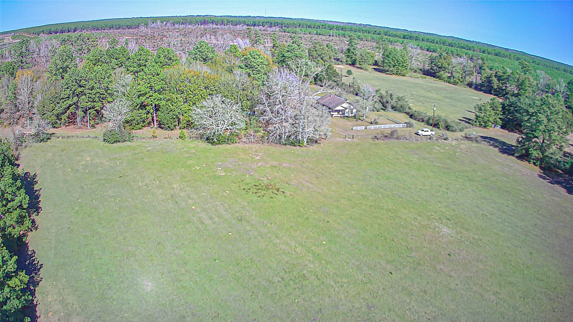 2764 Richardson Road East Livingston, TX 77351 - Photo 11 of 30