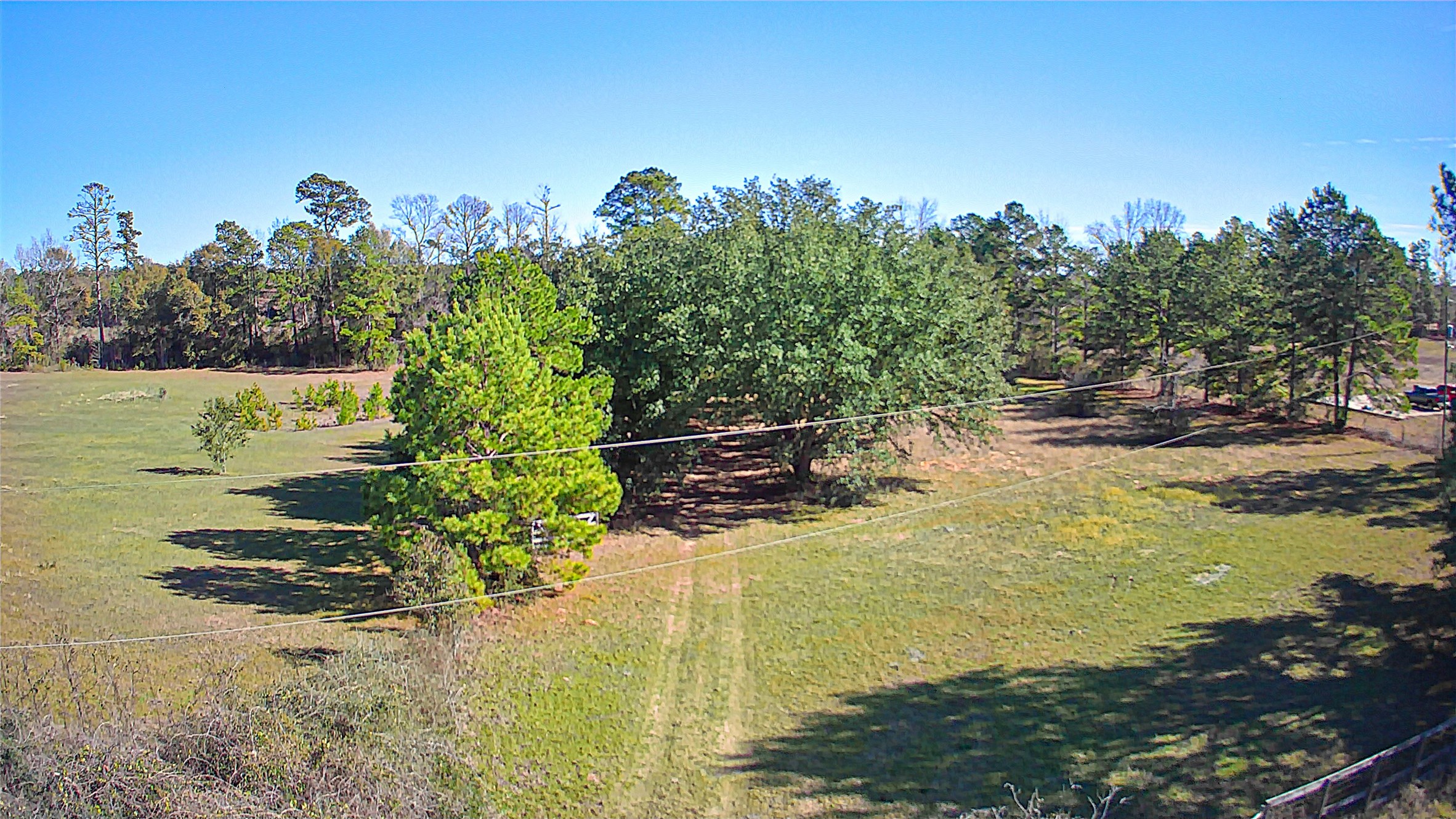 2764 Richardson Road East Livingston, TX 77351 - Photo 14 of 30