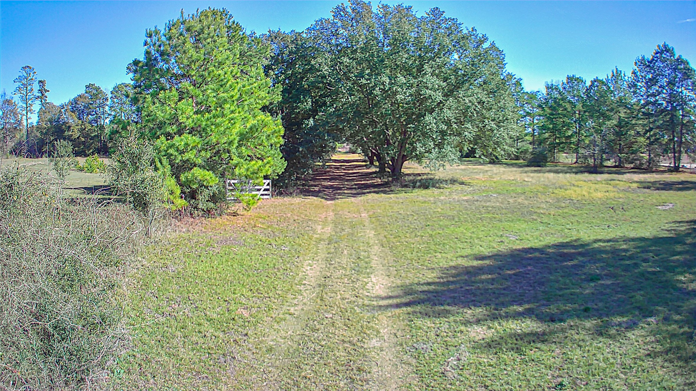 2764 Richardson Road East Livingston, TX 77351 - Photo 15 of 30