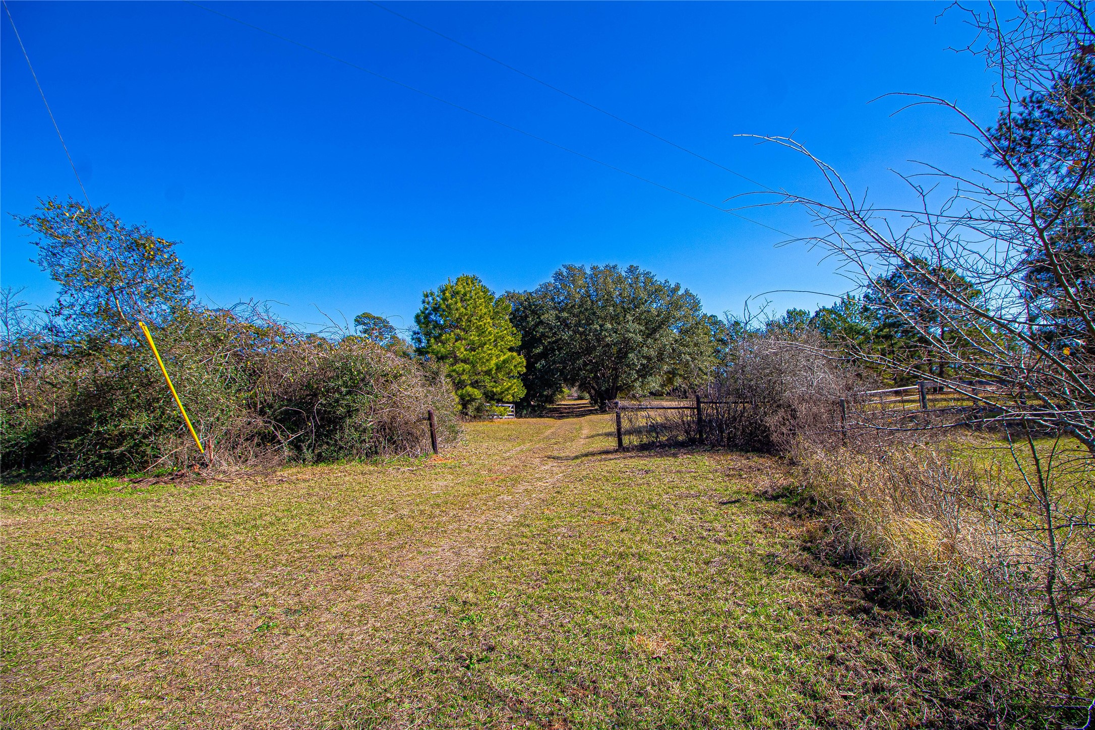 2764 Richardson Road East Livingston, TX 77351 - Photo 17 of 30