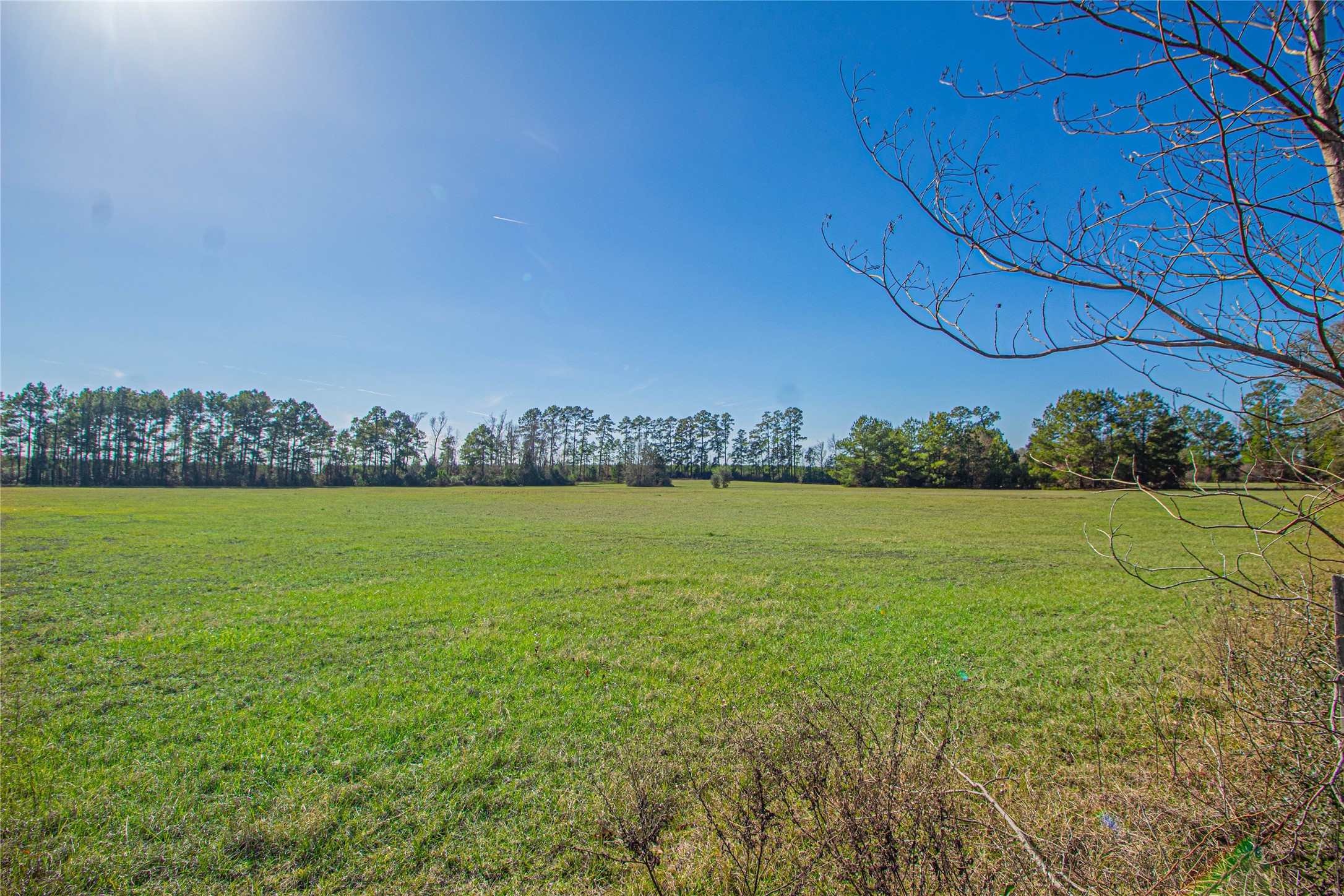 2764 Richardson Road East Livingston, TX 77351 - Photo 18 of 30
