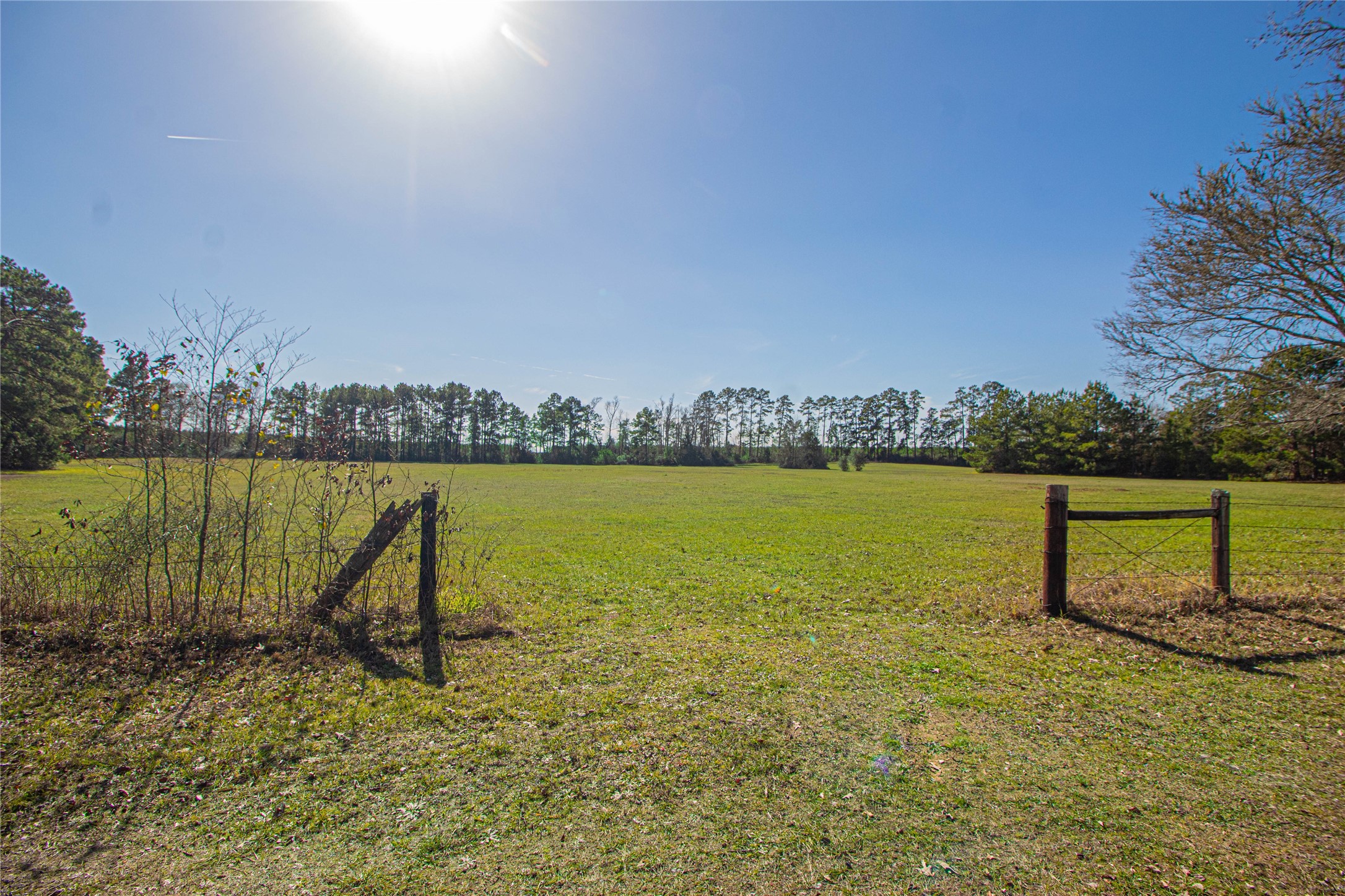 2764 Richardson Road East Livingston, TX 77351 - Photo 20 of 30