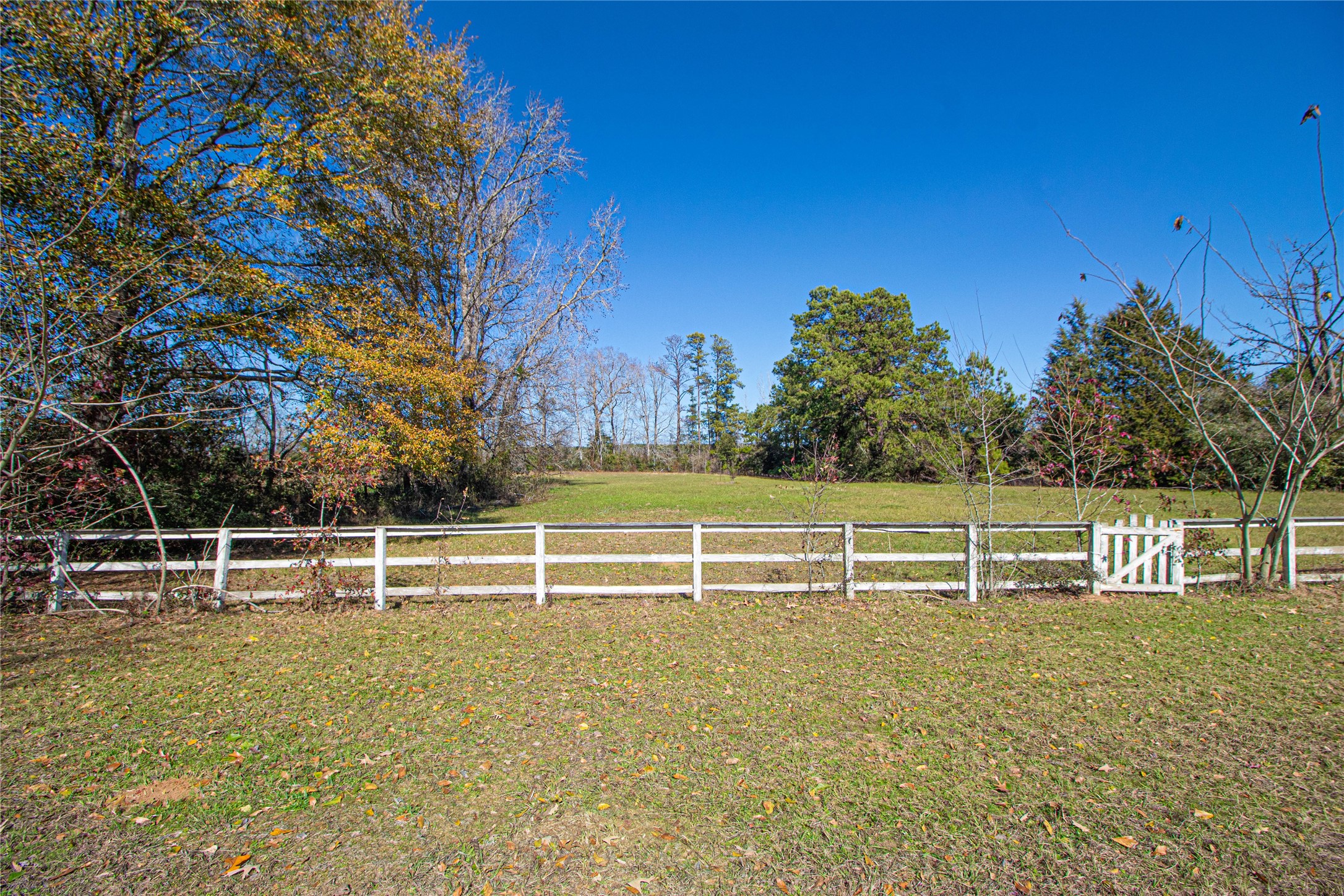 2764 Richardson Road East Livingston, TX 77351 - Photo 23 of 30