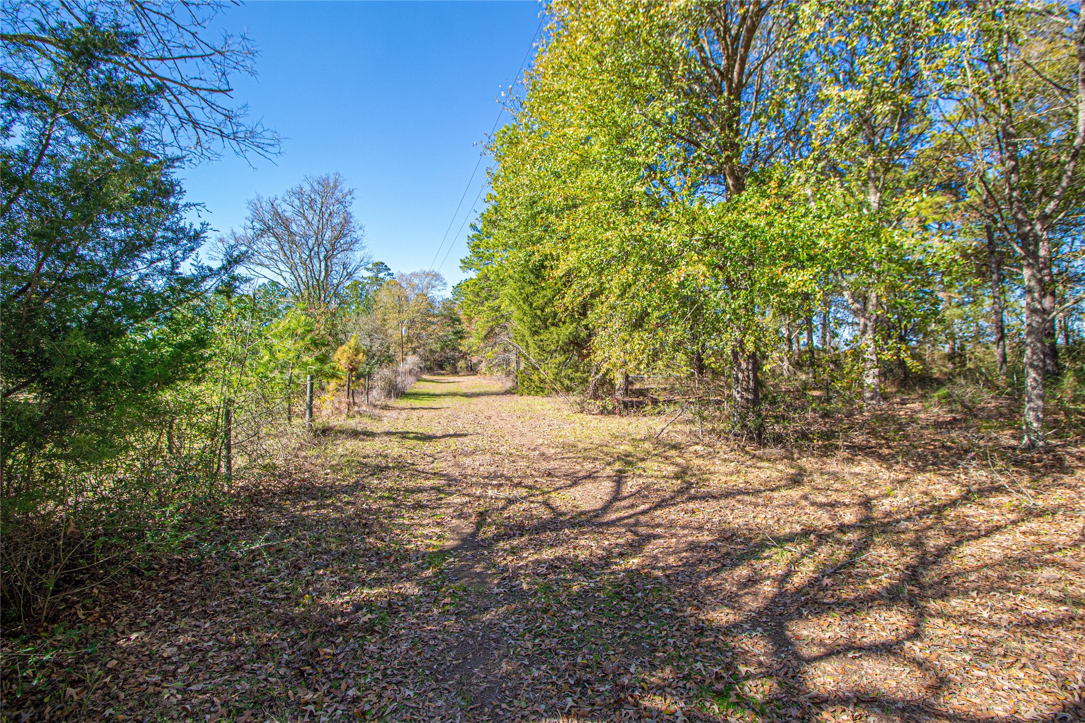 2764 Richardson Road East Livingston, TX 77351 - Photo 28 of 30
