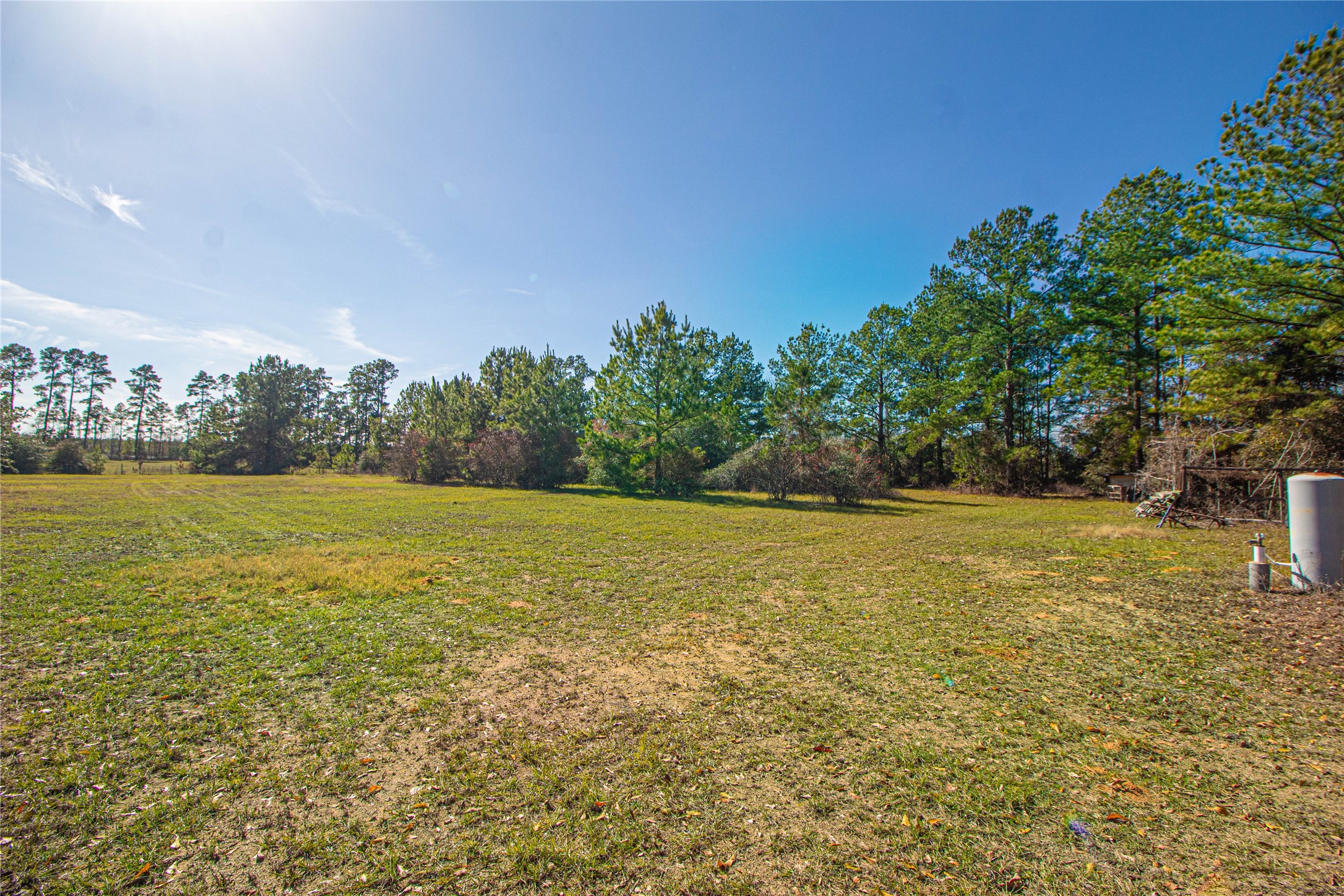 2764 Richardson Road East Livingston, TX 77351 - Photo 29 of 30