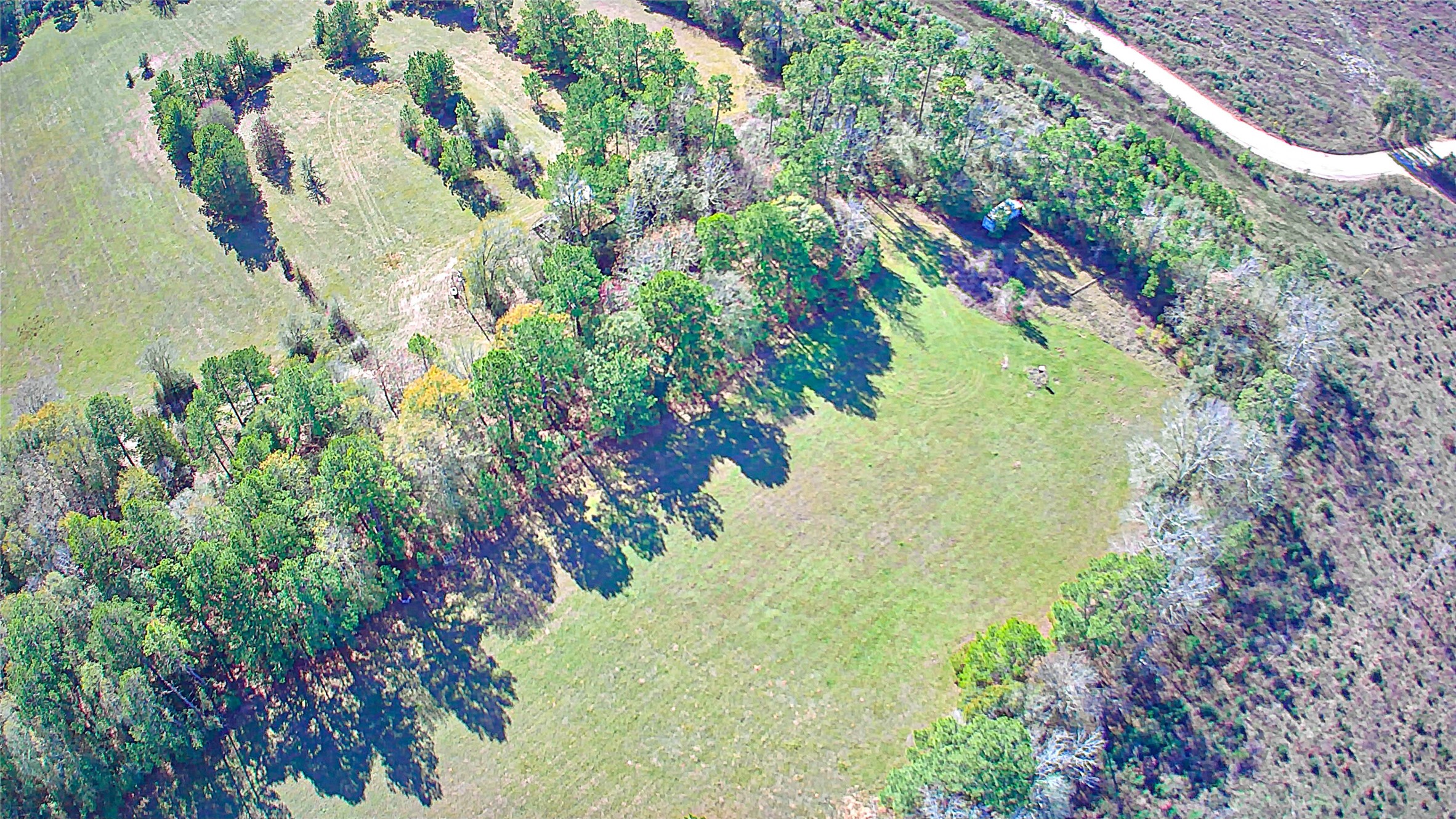 2764 Richardson Road East Livingston, TX 77351 - Photo 5 of 30