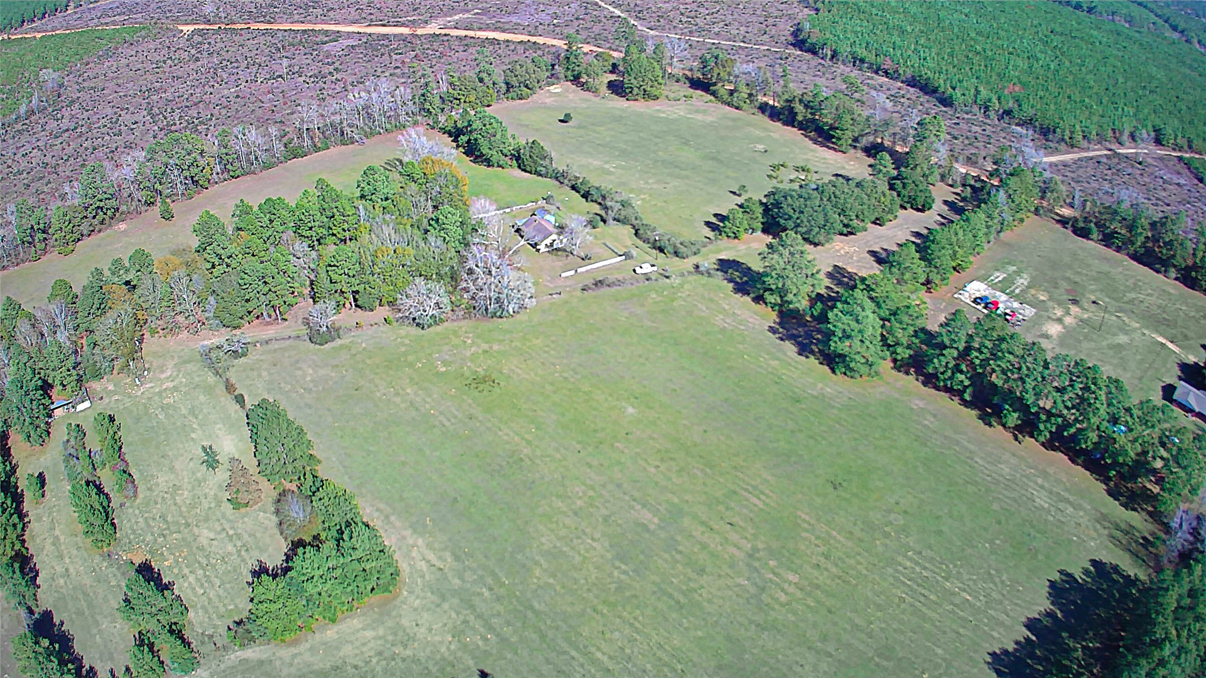 2764 Richardson Road East Livingston, TX 77351 - Photo 6 of 30
