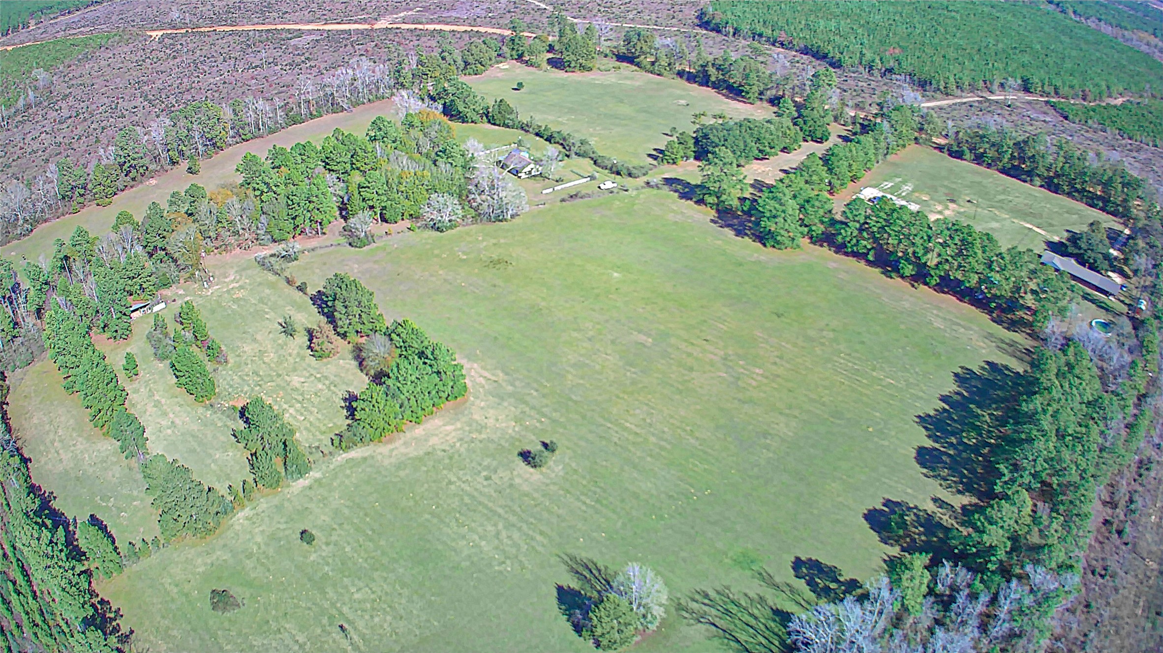 2764 Richardson Road East Livingston, TX 77351 - Photo 8 of 30