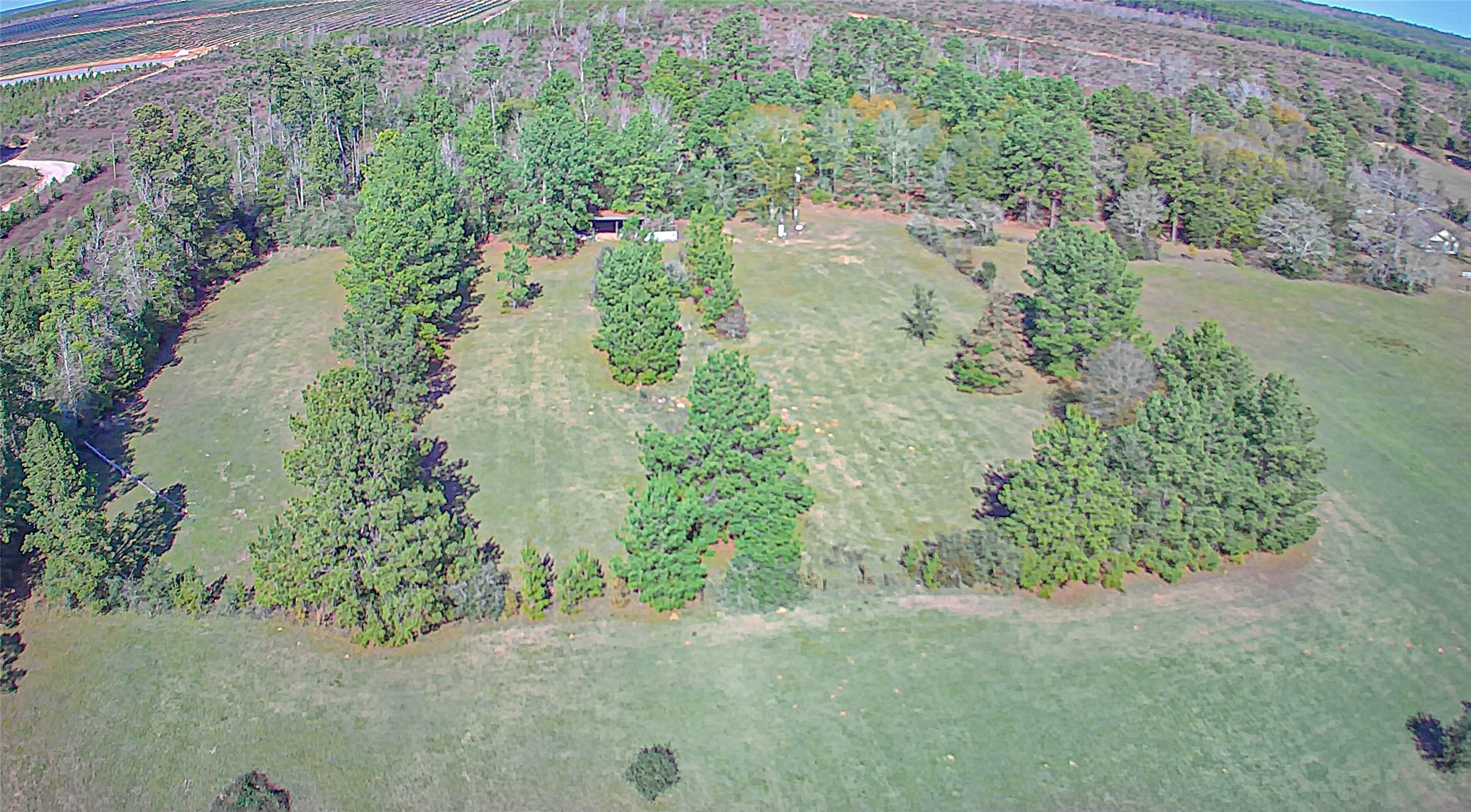 2764 Richardson Road East Livingston, TX 77351 - Photo 9 of 30