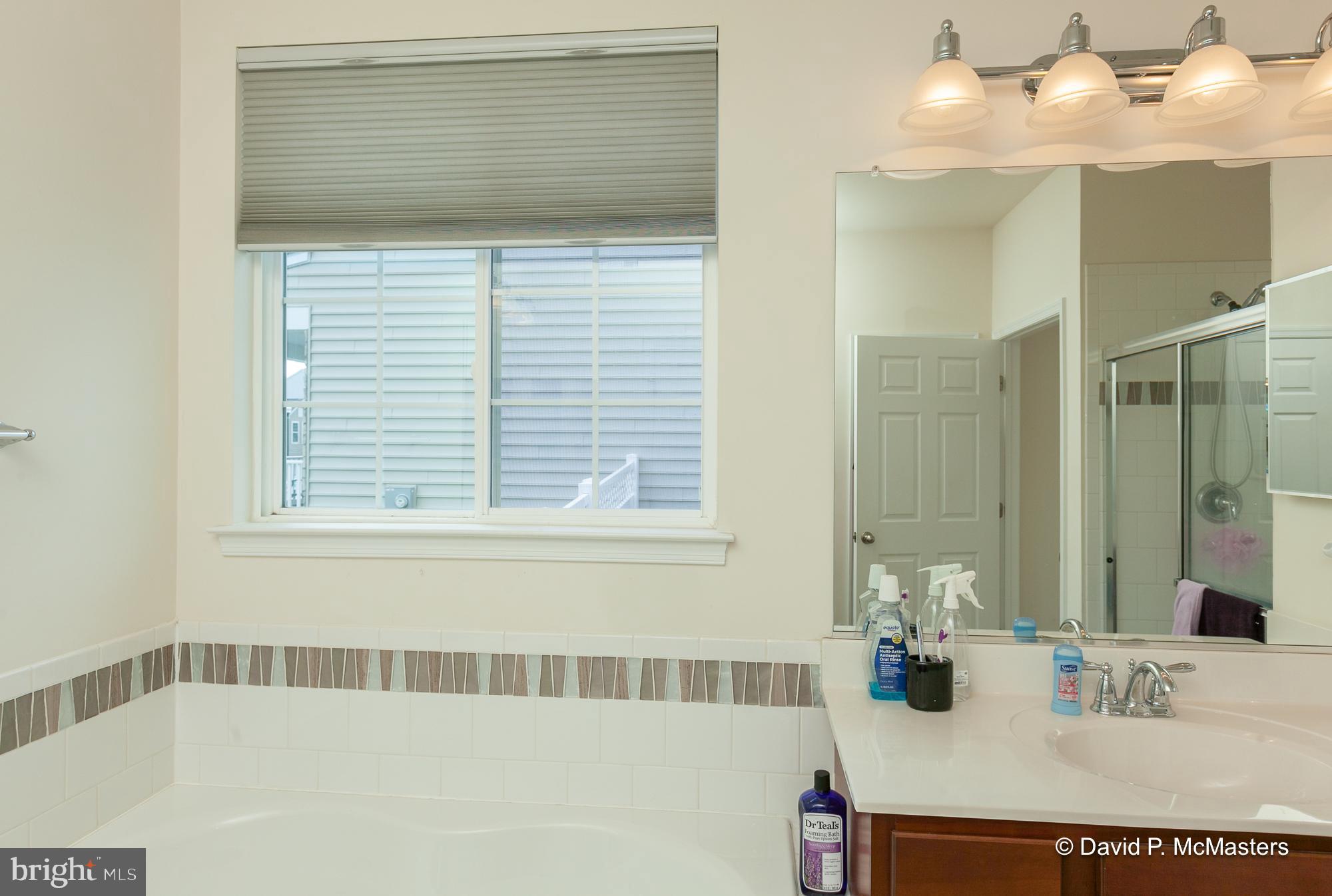 167 Sparkling Brook Road Ranson, WV 25438 - Photo 35 of 71 Master bath