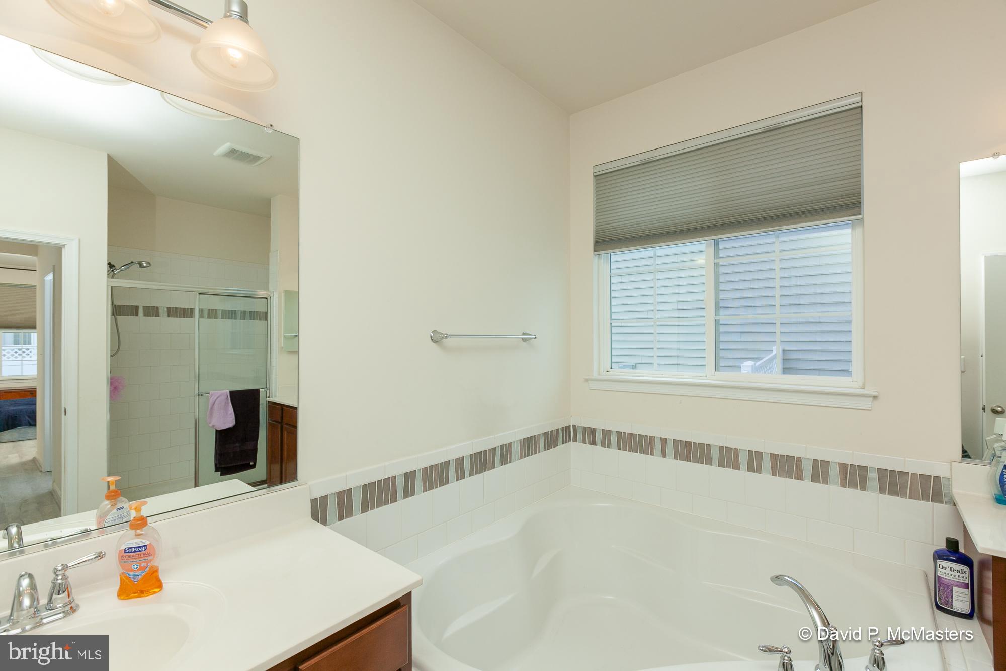 167 Sparkling Brook Road Ranson, WV 25438 - Photo 36 of 71 Master bath