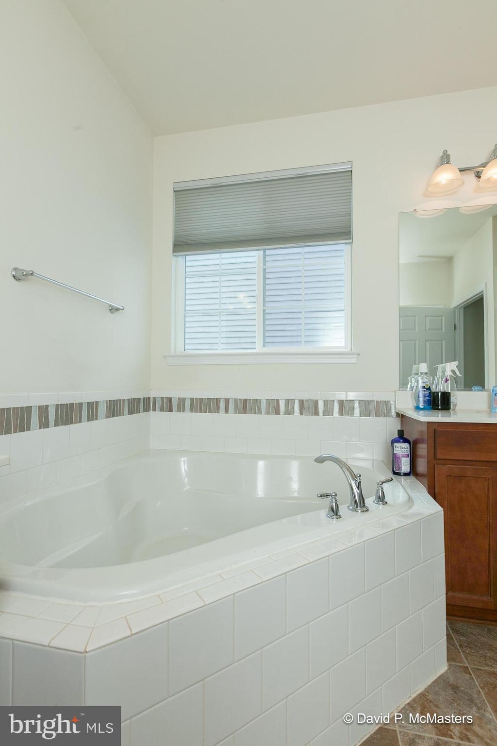 167 Sparkling Brook Road Ranson, WV 25438 - Photo 37 of 71 Master bath