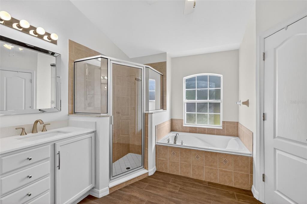 2113 Wolf Ridge Lane Mount Dora, FL 32757 - Photo 29 of 49 a bathroom with a tub shower and sink