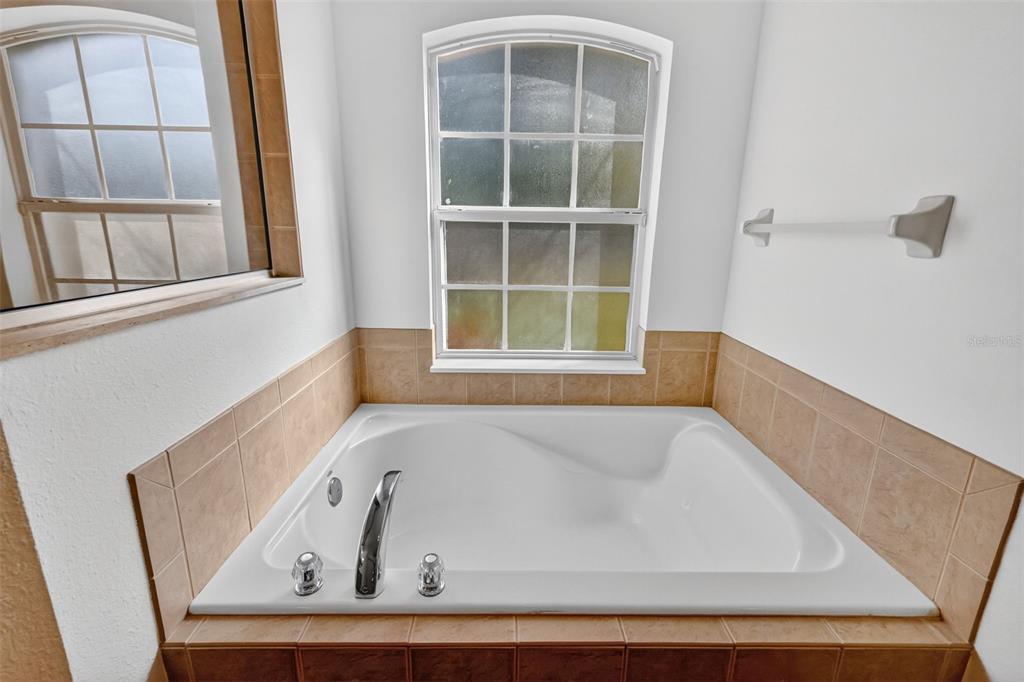 2113 Wolf Ridge Lane Mount Dora, FL 32757 - Photo 30 of 49 a white bath tub sitting next to a window