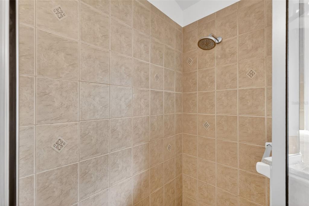 2113 Wolf Ridge Lane Mount Dora, FL 32757 - Photo 31 of 49 a bathroom with a shower