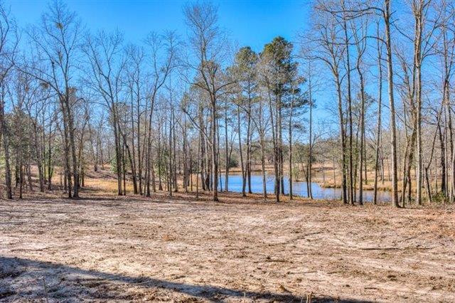 Parcel B Old Dibble Road Aiken, SC 29803 - Photo 8 of 17