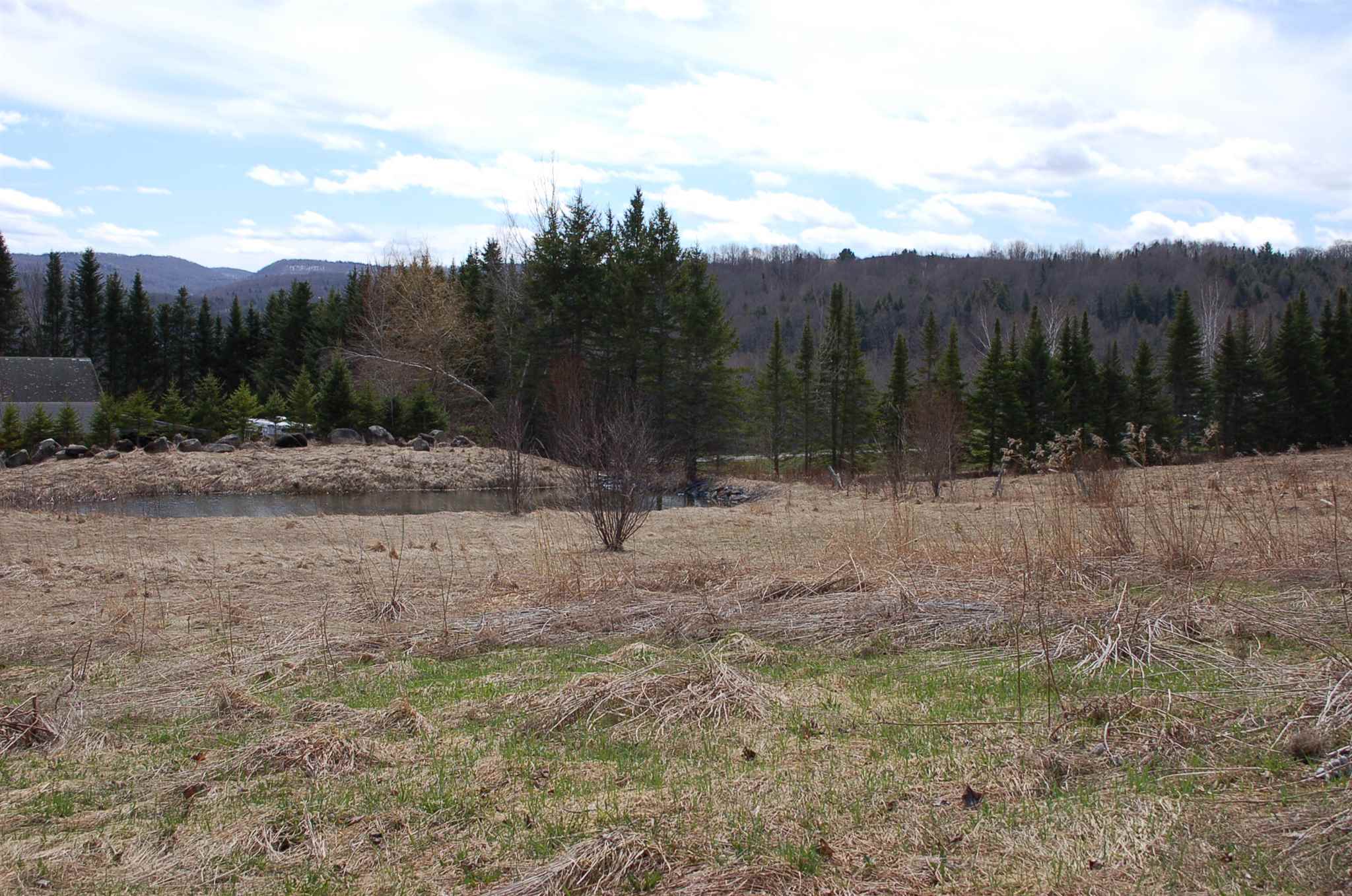 2170 Lowery Road Washington, VT 05675 - Photo 1 of 4