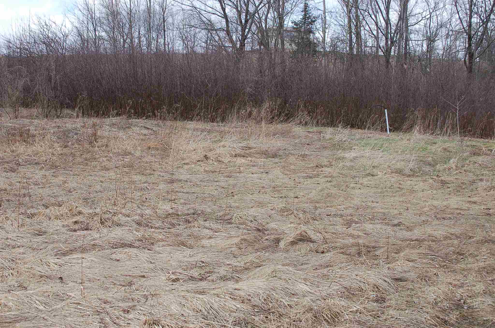 2170 Lowery Road Washington, VT 05675 - Photo 2 of 4