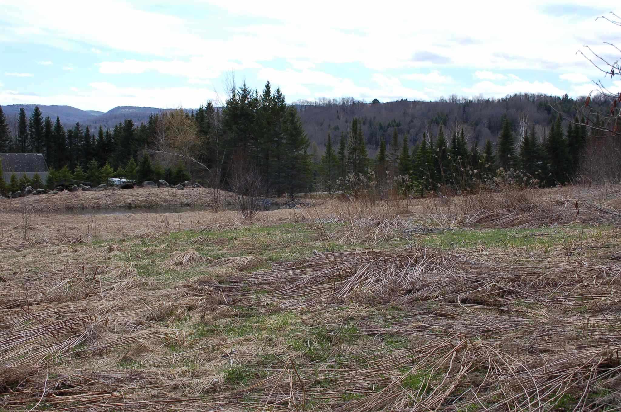 2170 Lowery Road Washington, VT 05675 - Photo 3 of 4