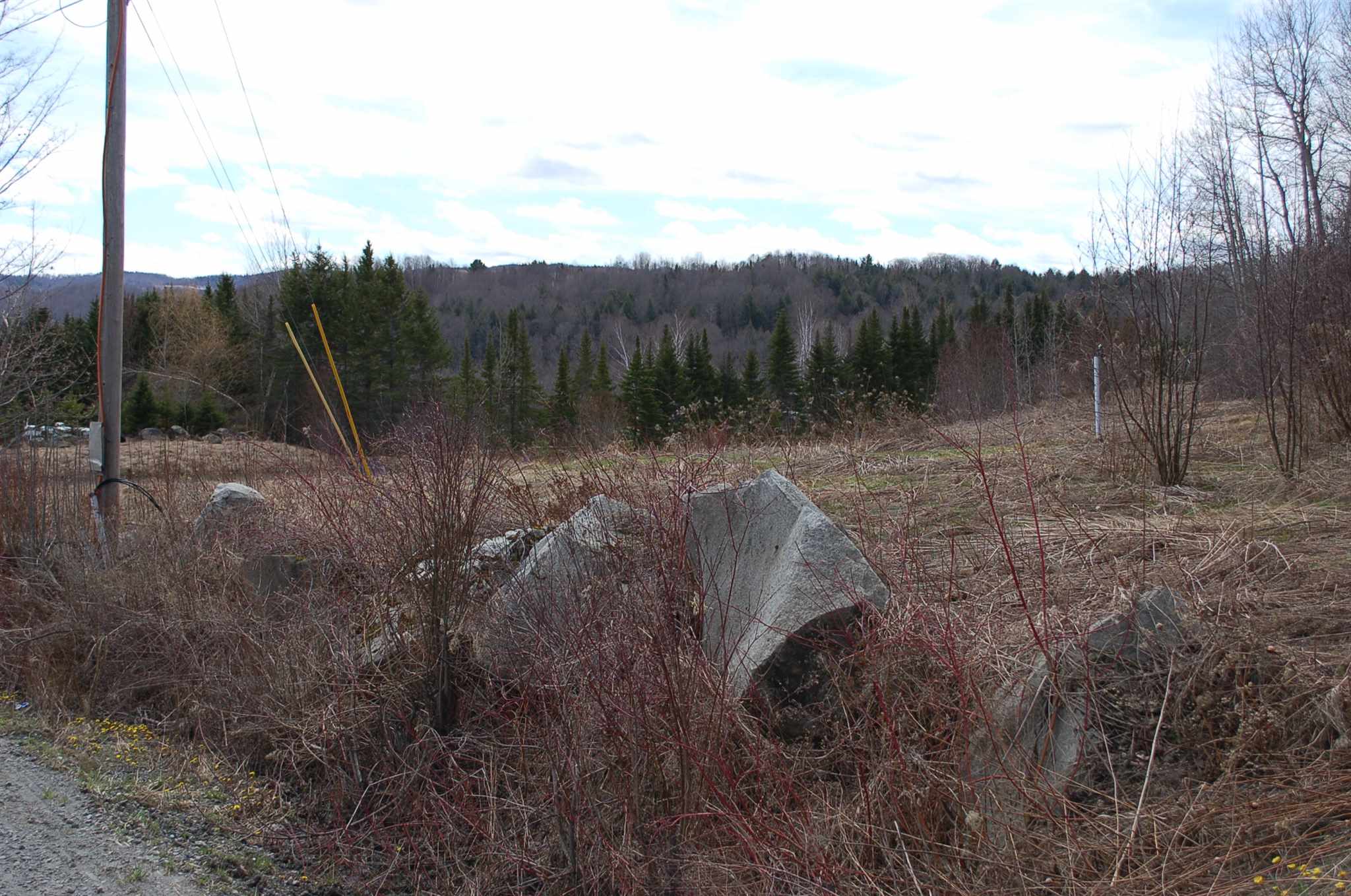 2170 Lowery Road Washington, VT 05675 - Photo 4 of 4